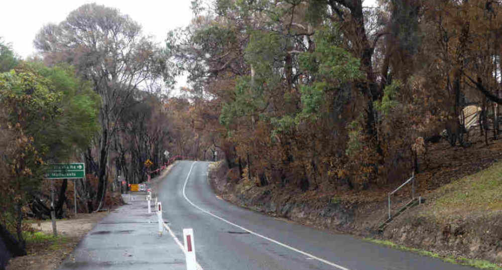 Shady Gully Mallacoota after fire