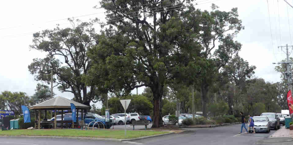 Main street Mallacoota after fires