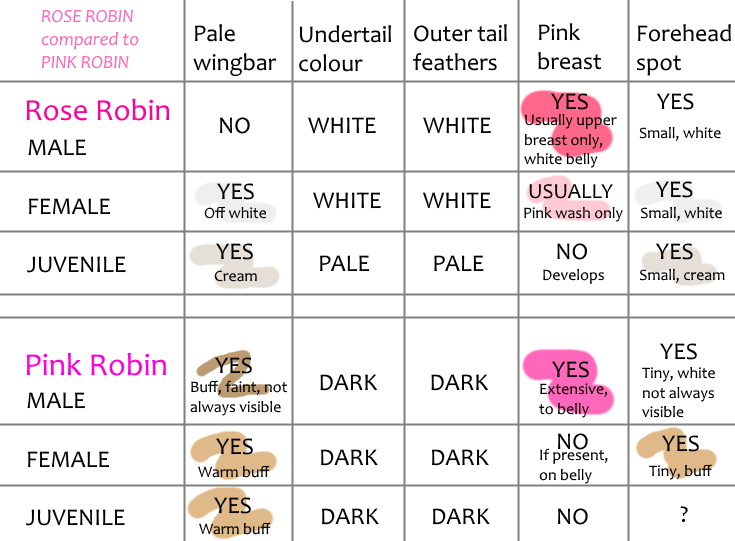 Chart comparing Rose and Pink Robins, Janine Duffy
