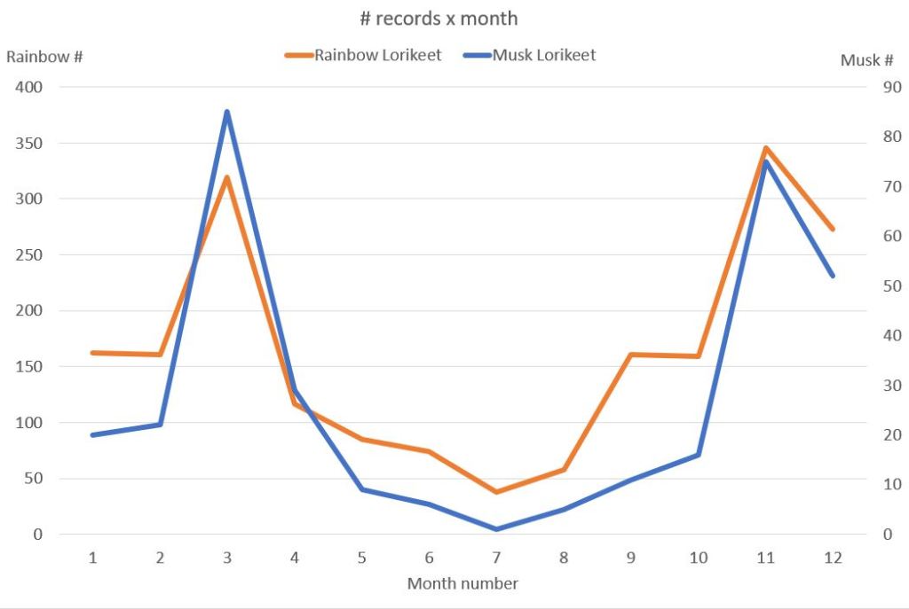 Chart showing Rainbow and Musk Lorikeet sightings and numbers around Mallacoota