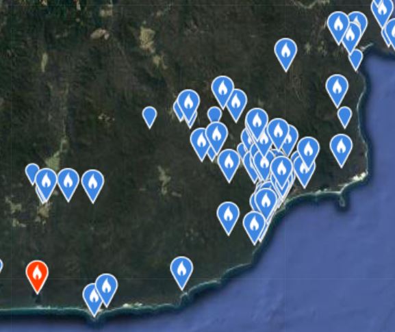 Musk Lorikeet observations around Mallacoota