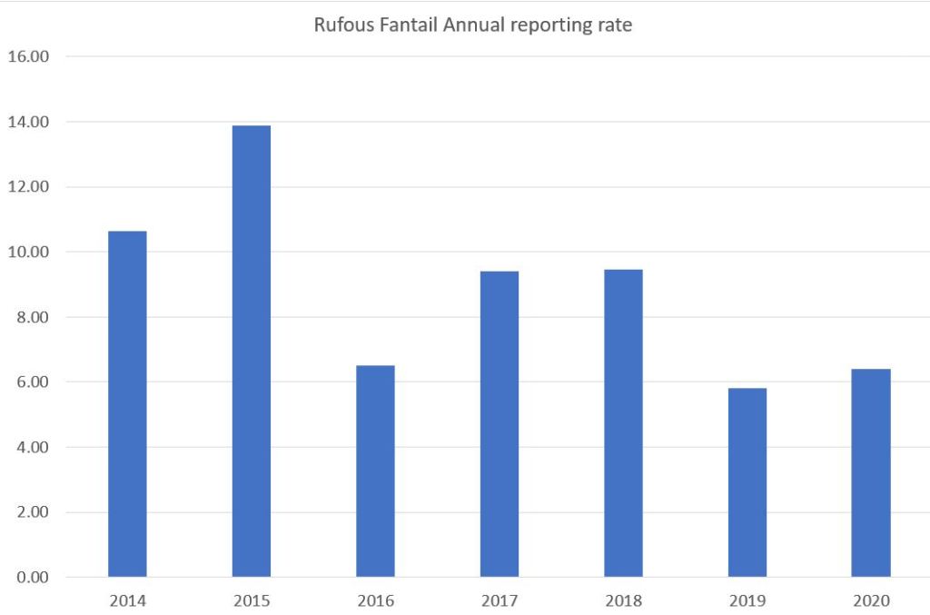 Chart: Rufous Fantail sightings Mallacoota by year, by Martin Butterfield