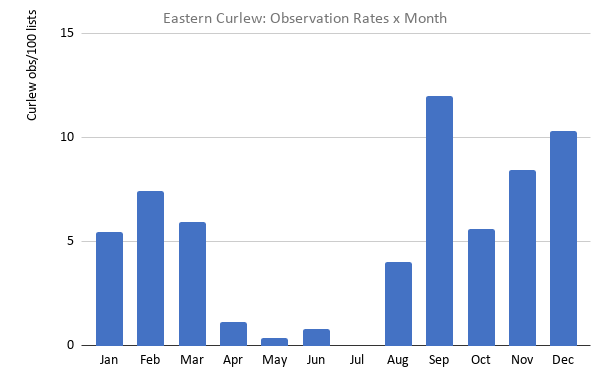 Eastern Curlew sightings by month Mallacoota graph Martin Butterfield