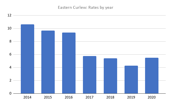 Eastern Curlew sightings by year Mallacoota graph by Martin Butterfield